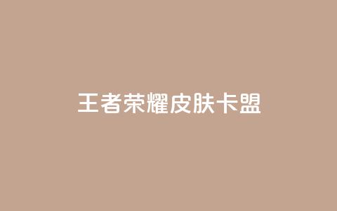 王者荣耀皮肤卡盟 - 王者荣耀皮肤卡盟：充值成为游戏强者~  第1张
