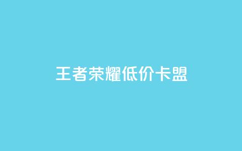 王者荣耀低价卡盟 - 王者荣耀超值卡盟优惠攻略~  第1张