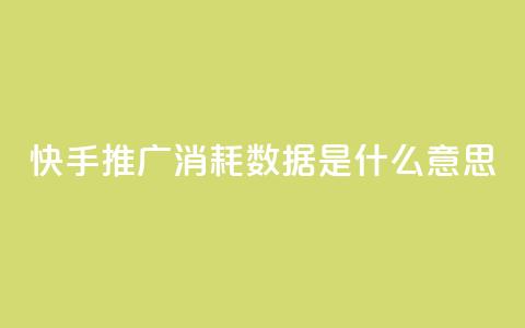 快手推广消耗数据是什么意思,ks直播业务平台怎么下 - qq24小时自助下单商城 口碑最好的美容仪  第1张