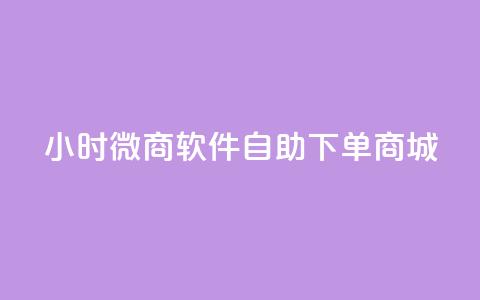 24小时微商软件自助下单商城 - 24小时自助下单微商商城软件推荐！  第1张