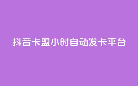抖音卡盟24小时自动发卡平台,颜夕卡盟 - 全网辅助货源站 快手点赞评论软件微信支付  第1张