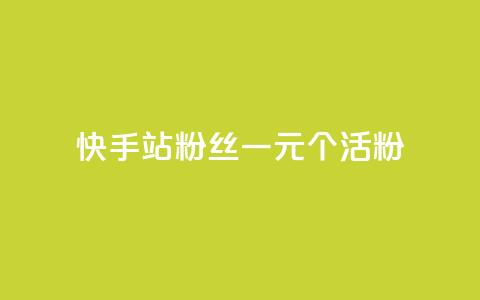 快手b站粉丝一元1000个活粉,NAP6科技网怎么打开 - 快手抖音24小时在线刷 快手秒单  第1张