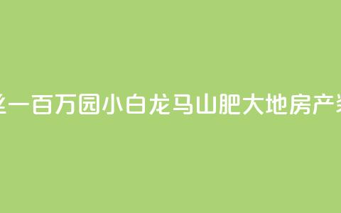 快手粉丝一百万0.01园小白龙马山肥大地房产装修网站,QQ红钻卡盟 - qq业务自助 子潇网络平台是合法吗  第1张