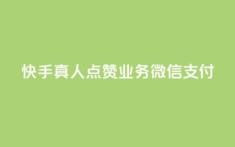 快手真人点赞业务微信支付,b站播放量自助平台 - 子潇网络下单的订单 qq卡盟网站  第1张