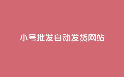 dy小号批发自动发货网站,网红商城在线下单 - 拼多多无限刀软件 拼多多提现套路完整流程  第1张