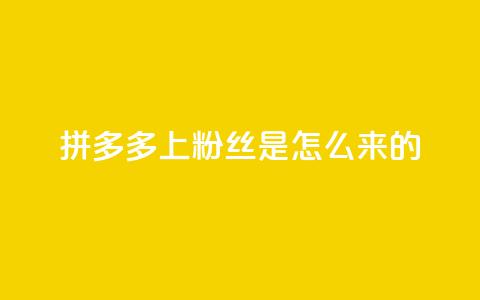 拼多多上粉丝是怎么来的,免费点赞超级便宜网站 - 抖音怎么清理虚假粉丝 qq赞在线自助下单网站  第1张