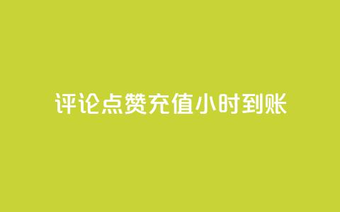 dy评论点赞充值24小时到账,快手真人粉丝平台 永不掉粉 - 快手业务平台网站官网 KS低价业务下单平台  第1张