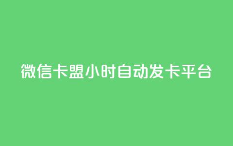 微信卡盟24小时自动发卡平台,云小店24小时下单平台 - 拼多多自动下单脚本 拼多多砍一刀代砍  第1张