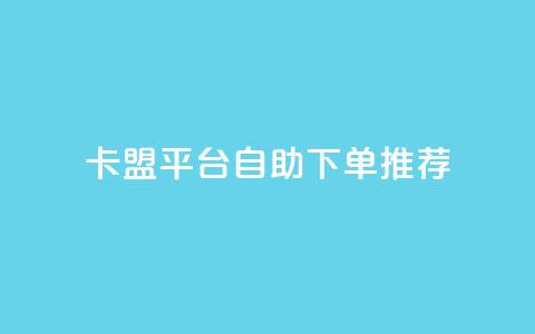 卡盟平台自助下单推荐 - 自助下单推荐：卡盟平台优选推荐!  第1张