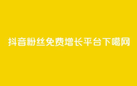 抖音粉丝免费增长平台  第1张