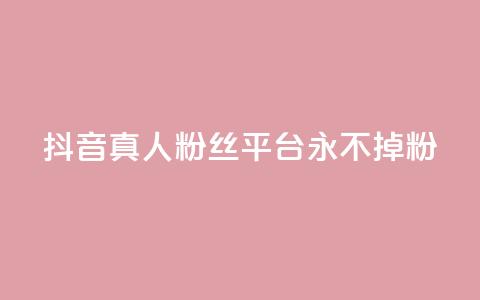 抖音真人粉丝平台 永不掉粉 - 抖音粉丝平台：畅享稳定粉丝，永远不失粉！~  第1张