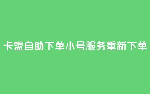 卡盟自助下单小号服务重新下单  第1张