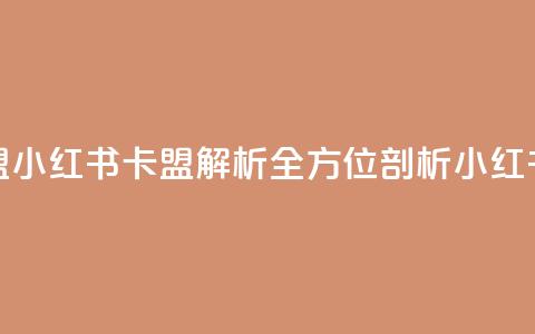 小红书卡盟(小红书卡盟解析全方位剖析小红书卡盟平台)  第1张
