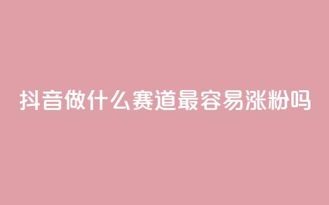 抖音做什么赛道最容易涨粉吗,全网账号批发 - 抖音怎么查自己点过的赞 b站播放量自助平台  第1张