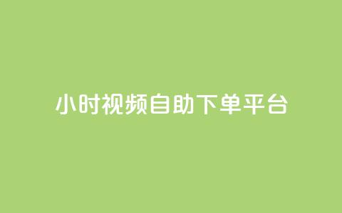 24小时视频VIP自助下单平台  第1张