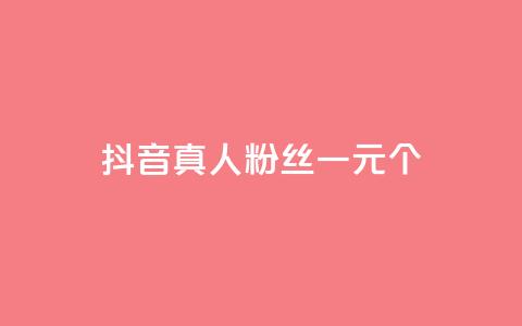 抖音真人粉丝一元1000个 - 抖音真人粉丝价格惊人！1元可获得1000个高质量粉丝!  第1张