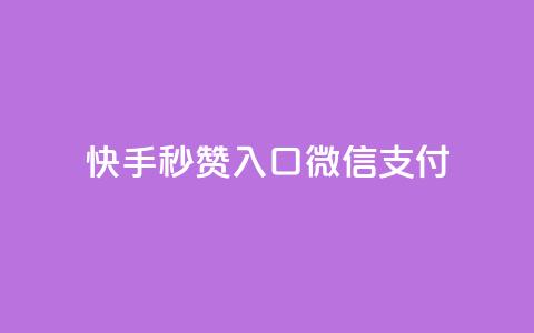 快手秒赞入口微信支付,低价卡网货源网站科技 - 小红书24小时自助业务网站 ks自助下单业  第1张