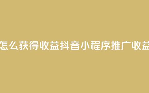 抖音推广小程序怎么获得收益 - 抖音小程序推广收益获取指南~  第1张