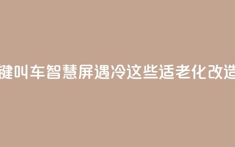 上海部分“一键叫车”智慧屏遇冷？这些适老化改造问题待优化  第1张