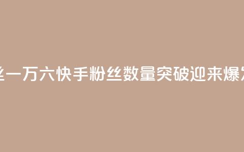 快手粉丝一万六(快手粉丝数量突破16K，迎来爆发式增长)  第1张