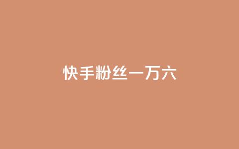 快手粉丝一万六 - 快手粉丝突破一万六的秘诀分享~  第1张