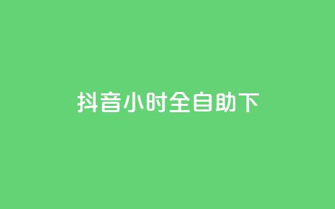 抖音24小时全自助下,KS低价业务下单平台 - 自动下单软件 快手24小时下单业务微信支付  第1张