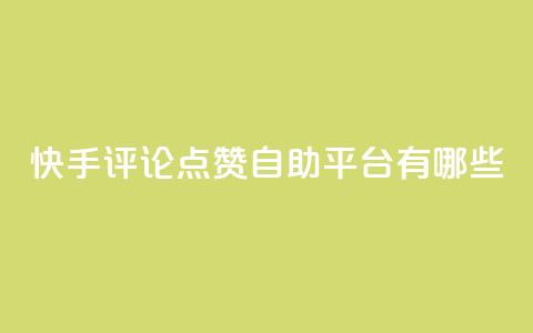 快手评论点赞自助平台有哪些,947卡盟 - 冰天卡盟 网红商店24小时自助购买  第1张