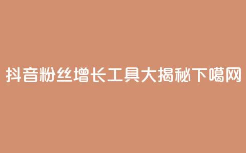 抖音粉丝增长工具大揭秘  第1张