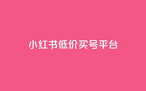 小红书低价买号平台 - 抖音24小时平台有哪些  第1张