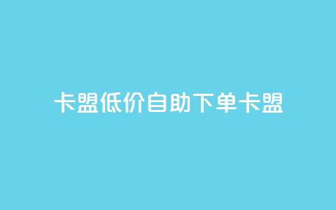 QQ卡盟低价自助下单(QQ卡盟-优惠自助下单)  第1张