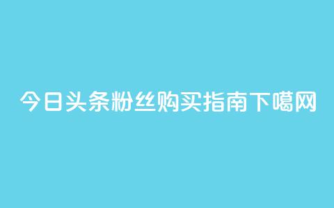 今日头条粉丝购买指南  第1张