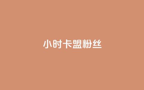 24小时卡盟粉丝,网红商城24小时自助 - 拼多多助力神器软件 拼多多助力人数购买链接  第1张