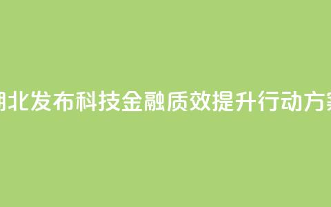 湖北发布科技金融质效提升行动方案  第1张
