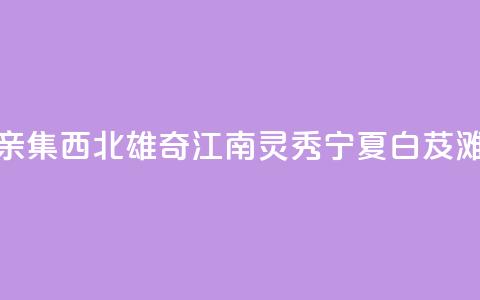（铸牢共同体 中华一家亲）集西北雄奇、江南灵秀 宁夏白芨滩绘出治沙用沙新画卷  第1张