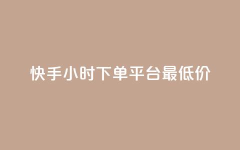 快手24小时下单平台最低价 - dy自定义评论业务  第1张