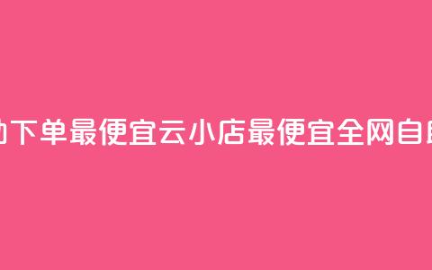全网自助下单最便宜云小店(最便宜全网自助云小店)  第1张