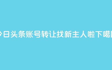 今日头条账号转让：找新主人啦!  第1张
