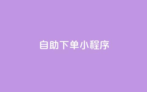 自助下单小程序,子潇网络自助下单的链接 - 黑马卡盟网 刷粉网免费入口  第1张