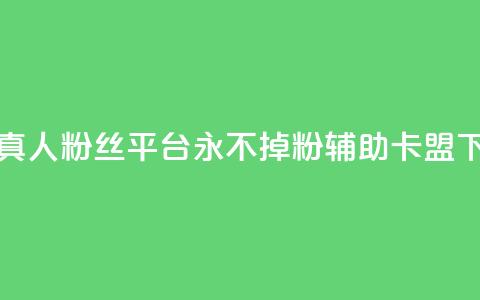 快手真人粉丝平台 永不掉粉 - CF辅助卡盟  第1张