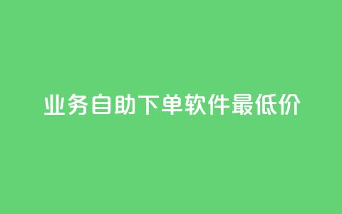 ks业务自助下单软件最低价,低价qq空间访客 - 低价卡盟平台 发卡网自动发卡平台  第1张