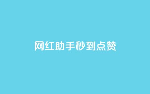 网红助手秒到点赞,梓豪网络24小时秒单业务平台 - 王者荣耀人气点赞购买平台 抖音涨粉可以花钱买吗  第1张
