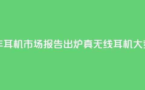 2024上半年耳机市场报告出炉：真无线耳机大势已去  第1张