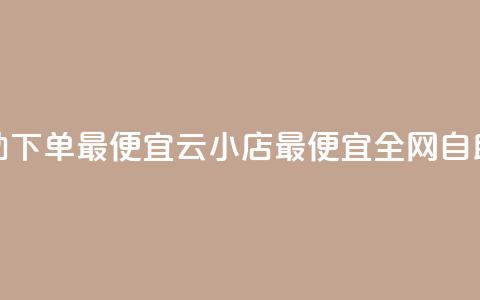 全网自助下单最便宜云小店(最便宜全网自助云小店)  第1张
