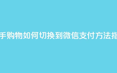 快手购物如何切换到微信支付方法指南  第1张