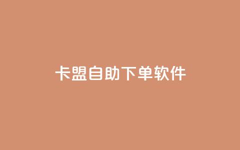 卡盟自助下单软件 - 卡盟自助下单工具全新解析与使用指南！  第1张