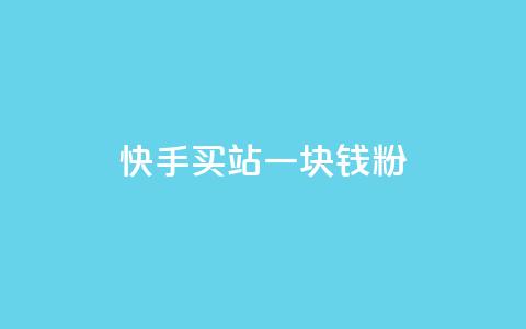 快手买站一块钱1000粉 - 快手一元购站轻松获千粉丝的方法揭秘！  第1张