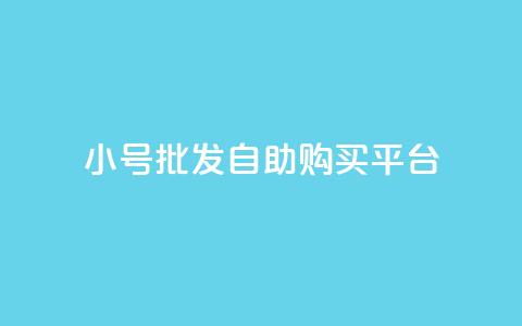 cf小号批发自助购买平台 - 购买CF小号的自助批发平台~  第1张