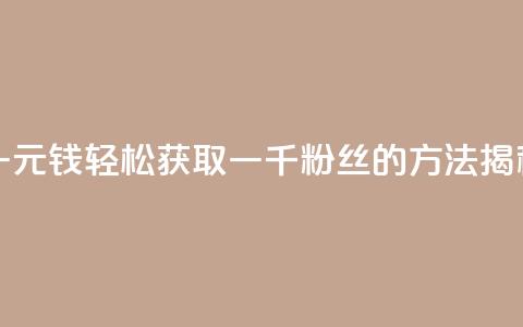 一元钱轻松获取一千粉丝的方法揭秘  第1张