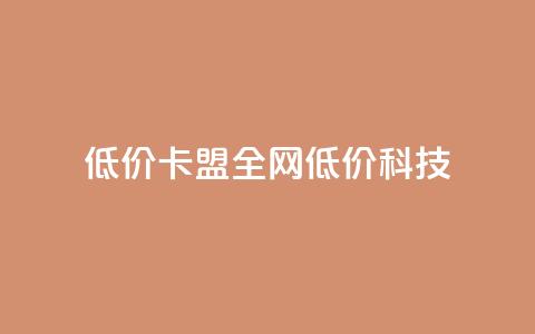 低价卡盟全网低价科技,991卡盟自助平台 - 拼多多大转盘助力软件 拼多多领红包群免费进  第1张