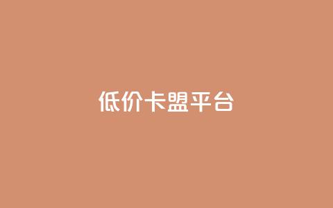 低价卡盟平台 - 获取优惠：经济实惠的卡盟平台！  第1张